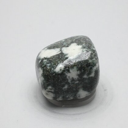 Preseli Stonehenge Bluestone Tumblestone ~30mm