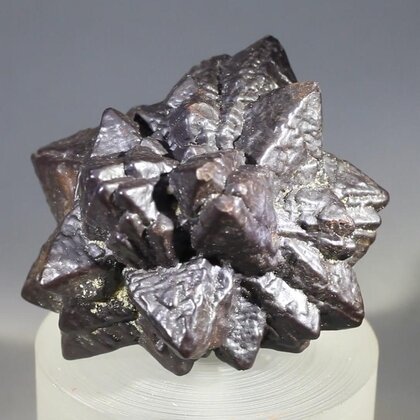 Prophecy Stone (Limonite after Marcasite) ~37mm