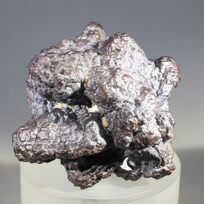 Prophecy Stone (Limonite after Marcasite) ~38mm