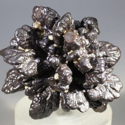 Prophecy Stone (Limonite after Marcasite) ~44mm