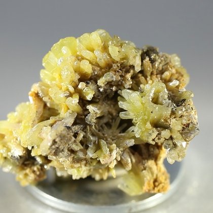 Pyromorphite Crystal Cluster ~30mm