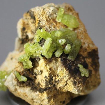 Pyromorphite Crystal Cluster ~30mm