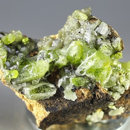 Pyromorphite Crystal Cluster ~35mm