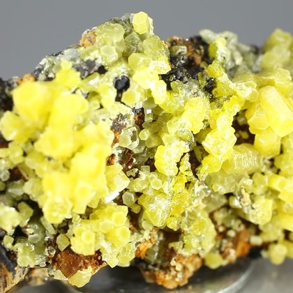 Pyromorphite Crystal Cluster ~47mm