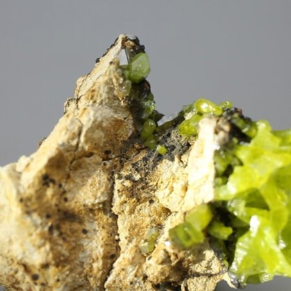 Pyromorphite Crystal Cluster ~48mm