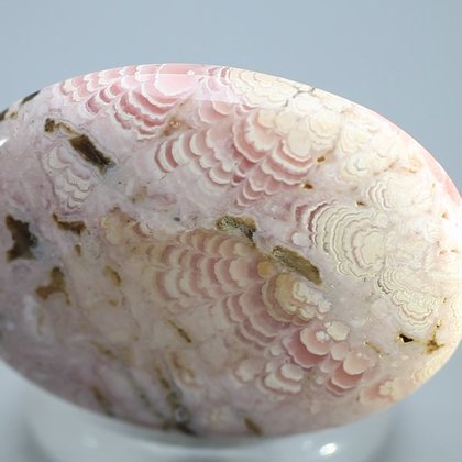 Rhodochrosite Palmstone (Extra Grade) ~50 x 35mm