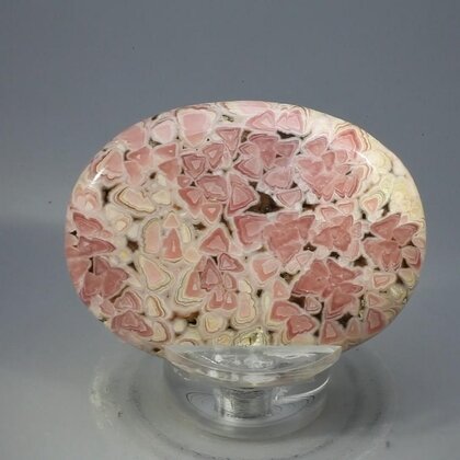 Rhodochrosite Palmstone (Extra Grade) ~52x39mm