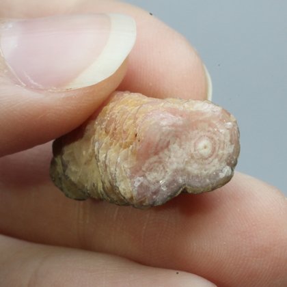 Rhodochrosite Stalagmite Stem ~22mm
