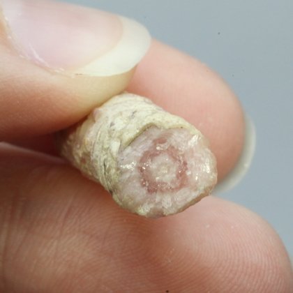 Rhodochrosite Stalagmite Stem ~24mm