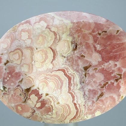 Rhodochrosite Thumbstone (Extra Grade) ~40 x 30mm