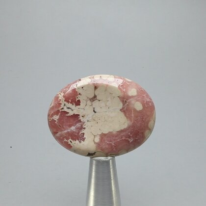 Rhodochrosite Thumbstone (Extra Grade) ~40x30mm