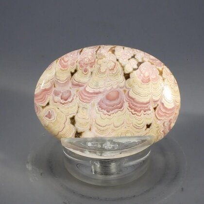 Rhodochrosite Thumbstone (Extra Grade) ~40x30mm