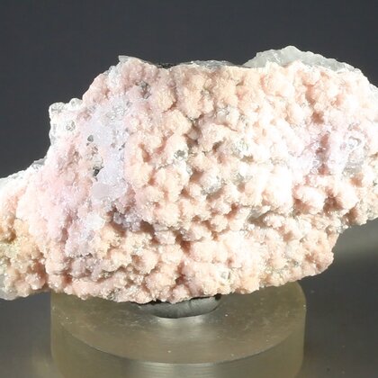 Rhodochrosite with Quartz Mineral Specimen ~65mm