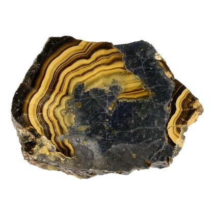 Schalenblende Polished Slice ~40mm