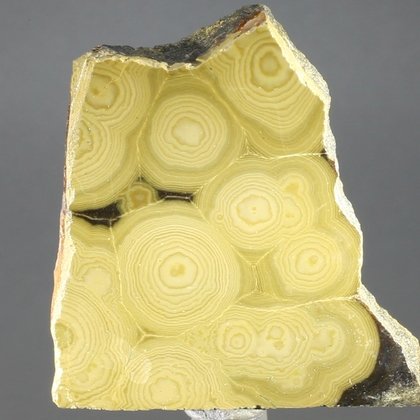 Schalenblende Polished Slice ~47mm