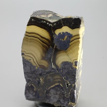 Schalenblende Polished Slice ~55mm