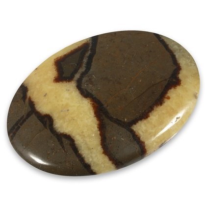 Septarian Palmstone (Extra Grade) ~68 x 48mm