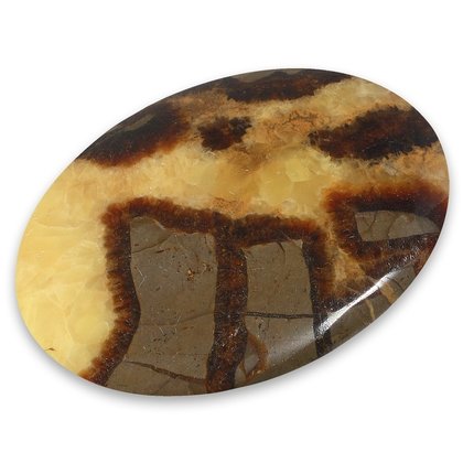 Septarian Palmstone (Extra Grade) ~70 x 50 mm