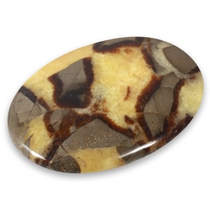 Septarian Palmstone (Extra Grade) ~70 x 50mm