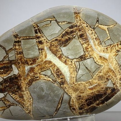 Septarian Polished Nodule ~12.5cm