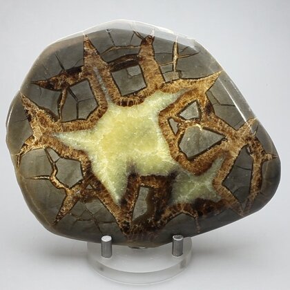 Septarian Polished Nodule ~12cm