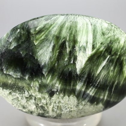 Seraphinite Palmstone (Extra Grade) ~70 x 50 mm