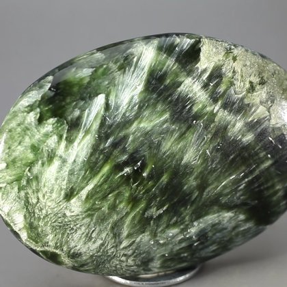 Seraphinite Palmstone (Extra Grade) ~70 x 50mm