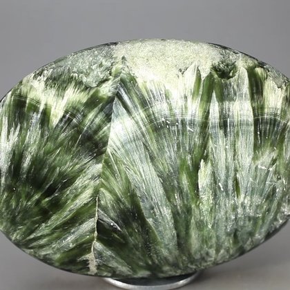 Seraphinite Palmstone (Extra Grade) ~70 x 50mm