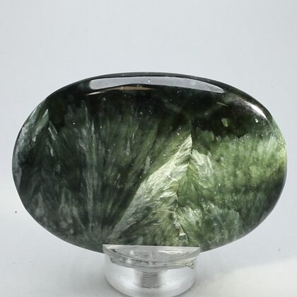 Seraphinite Palmstone (Extra Grade) ~70x50mm