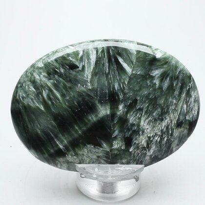 Seraphinite Palmstone (Extra Grade) ~70x50mm