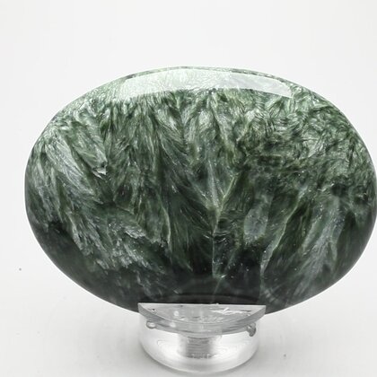 Seraphinite Palmstone (Extra Grade) ~70x50mm