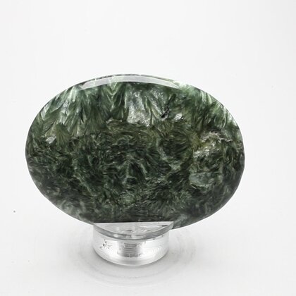 Seraphinite Palmstone (Extra Grade) ~70x50mm