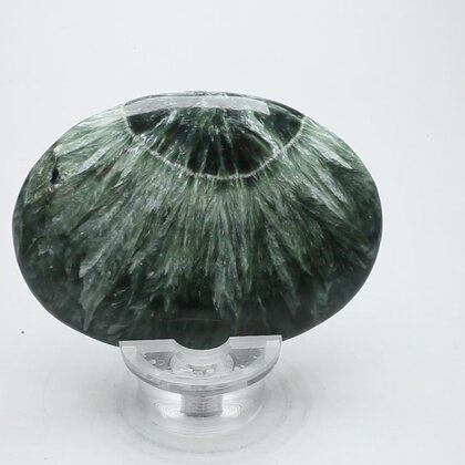 Seraphinite Palmstone (Extra Grade) ~70x50mm
