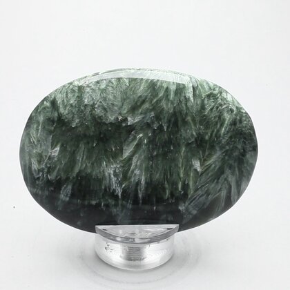 Seraphinite Palmstone (Extra Grade) ~70x50mm