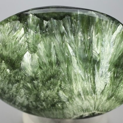 Seraphinite Palmstone (Extra Grade) ~70x50mm