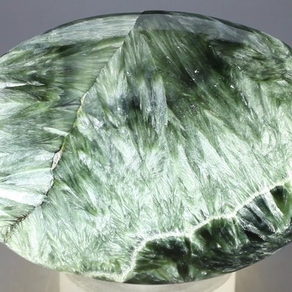 Seraphinite Palmstone (Extra Grade) ~70x50mm