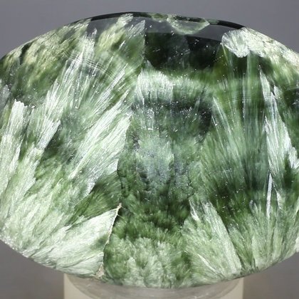 Seraphinite Palmstone (Extra Grade) ~70x50mm