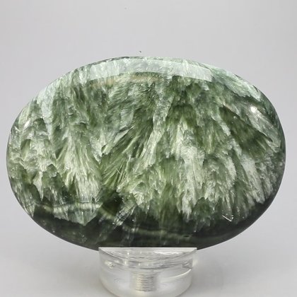 Seraphinite Palmstone (Extra Grade) ~70x50mm