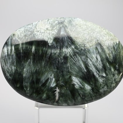 Seraphinite Palmstone (Extra Grade) ~71 x 50 mm