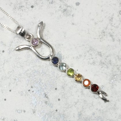 Faceted Seven Chakra Serpent Sterling Silver Pendant