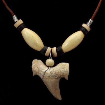 Shark Tooth Necklace (Brown Cord)