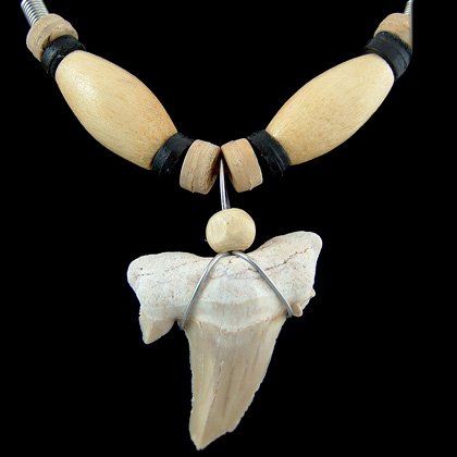 Buy Shark Tooth Necklaces Online at Low Prices in India - Amazon.in