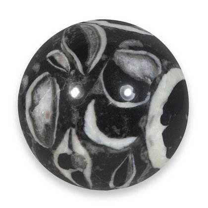 Shell Jasper Crystal Sphere  ~7.9cm