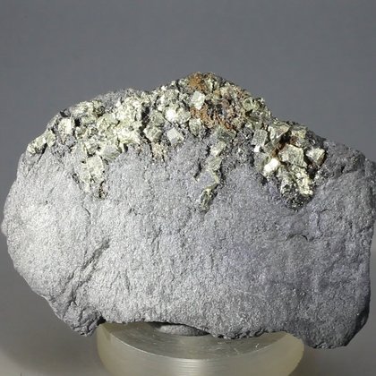 Shungite with Pyrite Healing Crystal  ~60mm