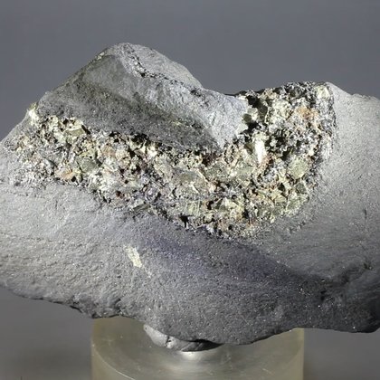 Shungite with Pyrite Healing Crystal  ~70mm
