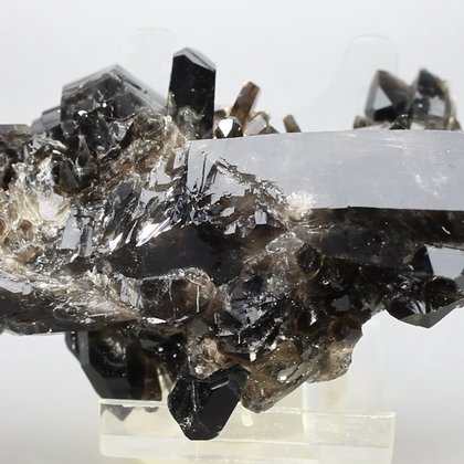 Smoky Quartz Cluster ~103mm