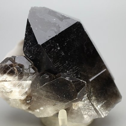 Smoky Quartz Cluster ~7.5cm