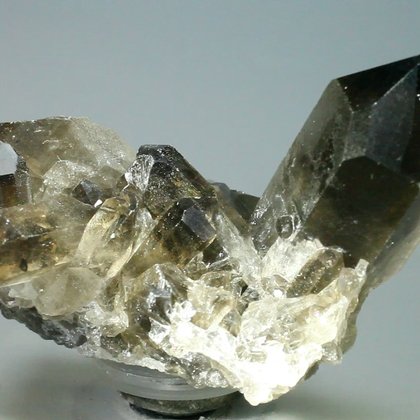 Smoky Quartz Cluster ~75mm