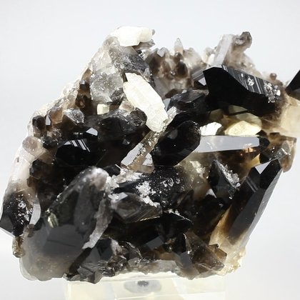 Smoky Quartz Cluster ~85mm