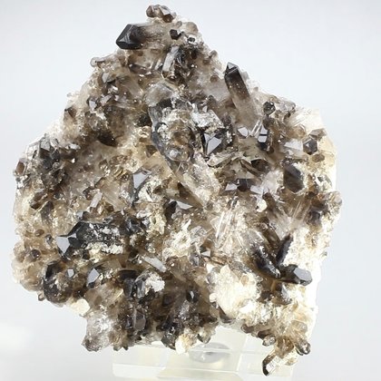 Smoky Quartz Cluster ~85mm